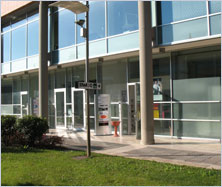 Azienda