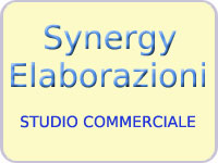 Synergy Elaborazioni